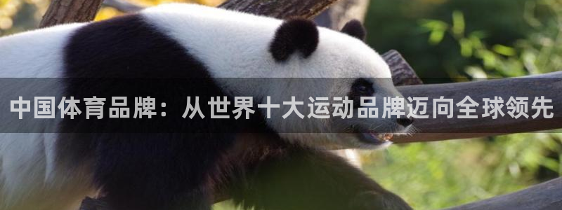 J9官方正版app集团官网网址：中国体育品牌：从世界