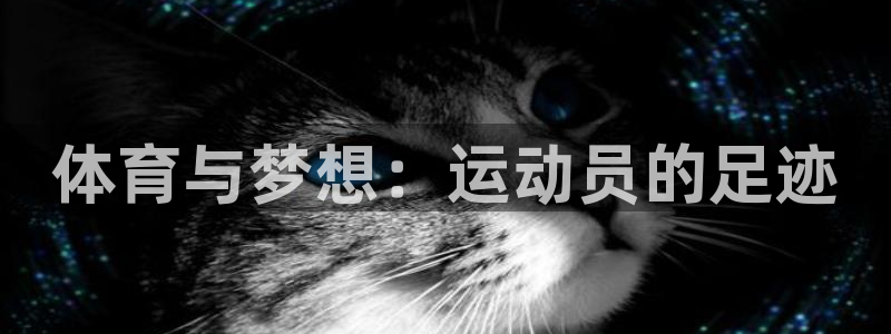 J9官网下载平台注册流程图：体育与梦想：运动员的足迹