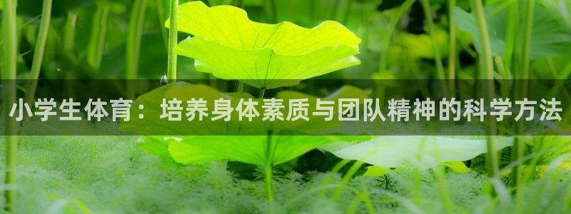J9官网下载平台是正规平台吗：小学生体育：培养身体素