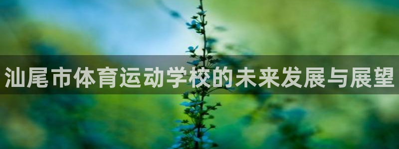 J9官方正版app新能源：汕尾市体育运动学校的未来发