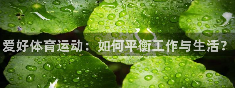 J9官网下载联系电话：爱好体育运动：如何平衡工作与生活？