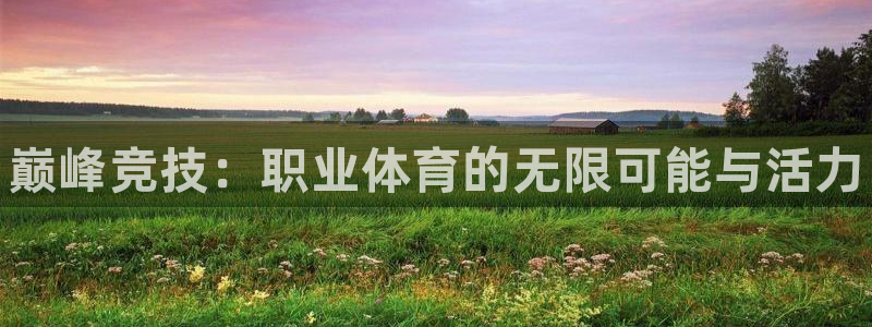 J9官网下载招商电话号码是多少：巅峰竞技：职业体育的无限可能