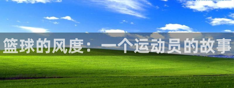 J9官方正版app官网：篮球的风度：一个运动员的故事