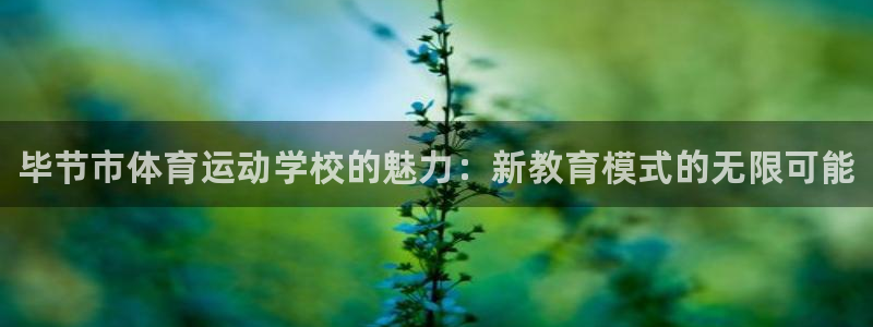 J9官方正版app娱乐首页官网下载：毕节市体育运动学