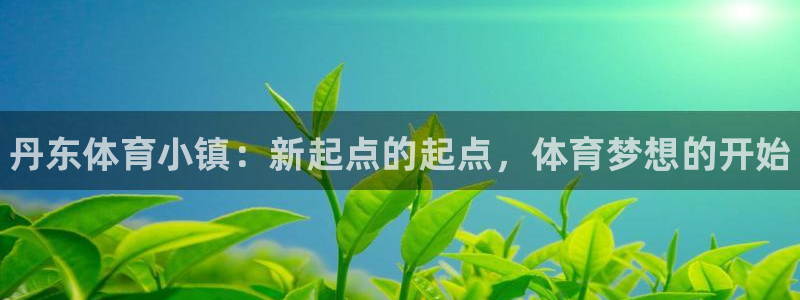 J9官网下载招商电话号码是多少啊：丹东体育小镇：新起