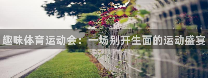J9官网下载平台是正规平台吗安全吗：趣味体育运动会：一场别开