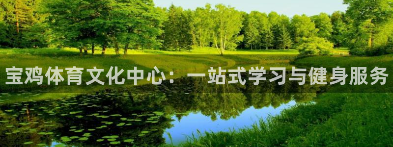 德国J9官方正版app集团