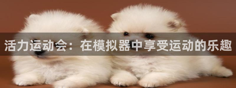 J9官方正版app娱乐网站：活力运动会：在模拟器中享受运动的
