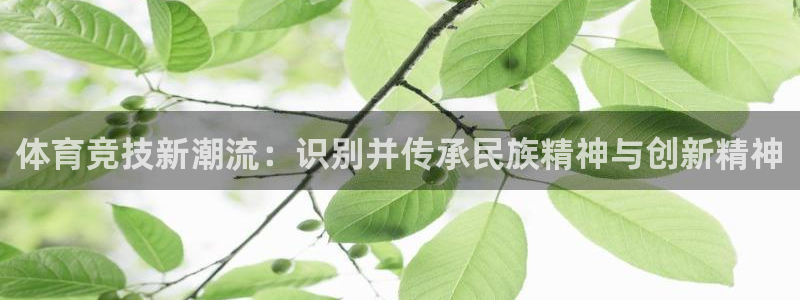 注册J9官方正版app：体育竞技新潮流：识别并传承民族精神与