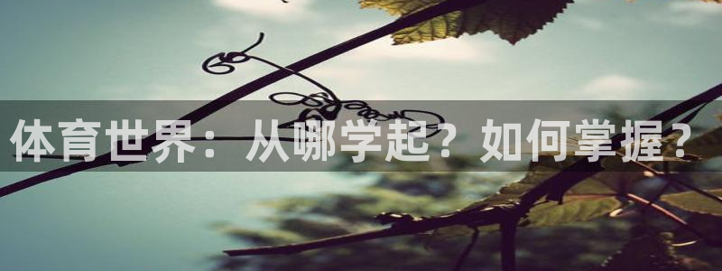 J9官方正版app集团E.ON：体育世界：从哪学起？