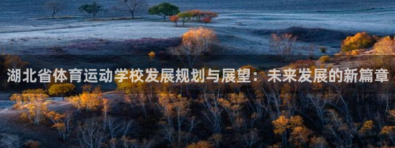 J9官方正版app集团官网首页网址：湖北省体育运动学