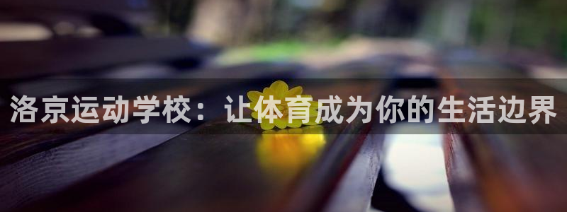 J9官方正版app娱乐代理怎么样