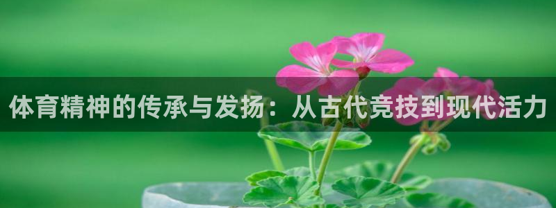 J9官网下载平台是正规平台吗安全吗：体育精神的传承与发扬：从