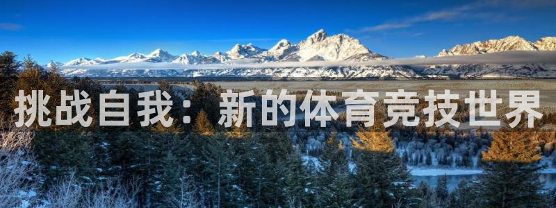 J9官方正版app娱乐：挑战自我：新的体育竞技世界