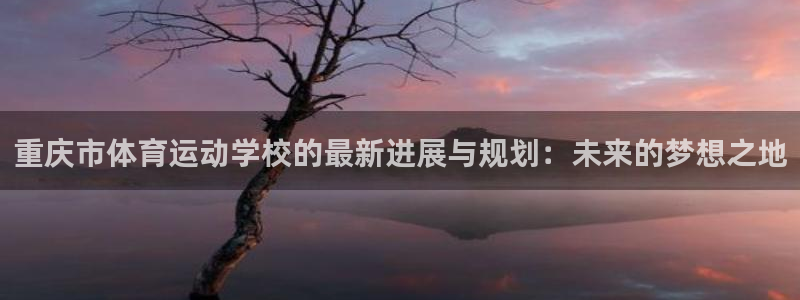 J9官方正版app集团logo：重庆市体育运动学校的最新进展