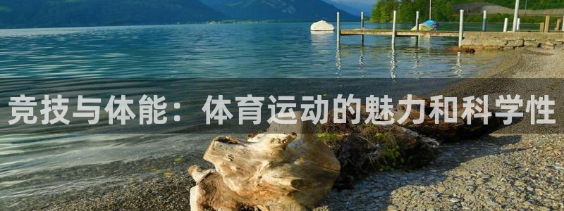 J9官方正版app集团logo：竞技与体能：体育运动的魅力和