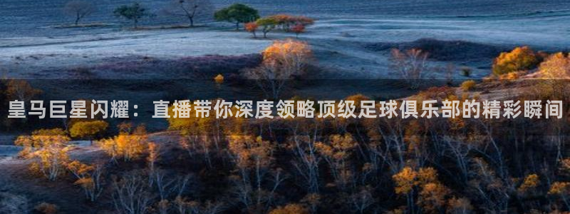 袋鼠直播体育免费直播：皇马巨星闪耀：直播带你深度领略顶级足球俱乐部的精彩瞬间