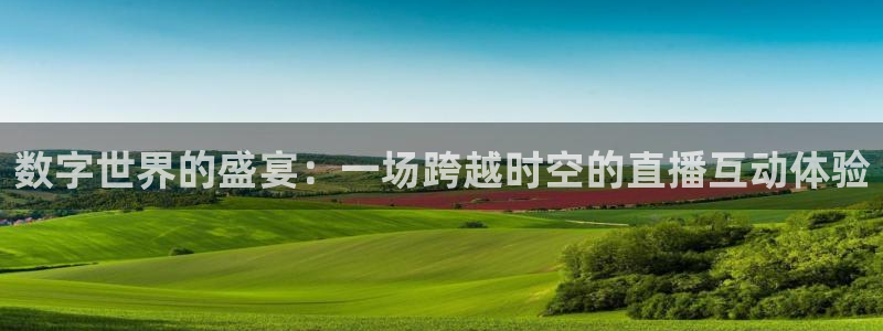袋鼠直播nba在线看：数字世界的盛宴：一场跨越时空的直播互动体验