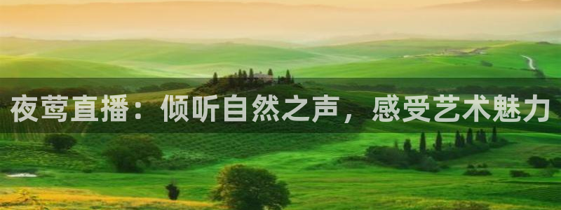袋鼠在线体育直播