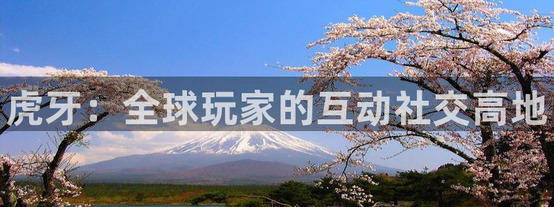 袋鼠足球免费直播